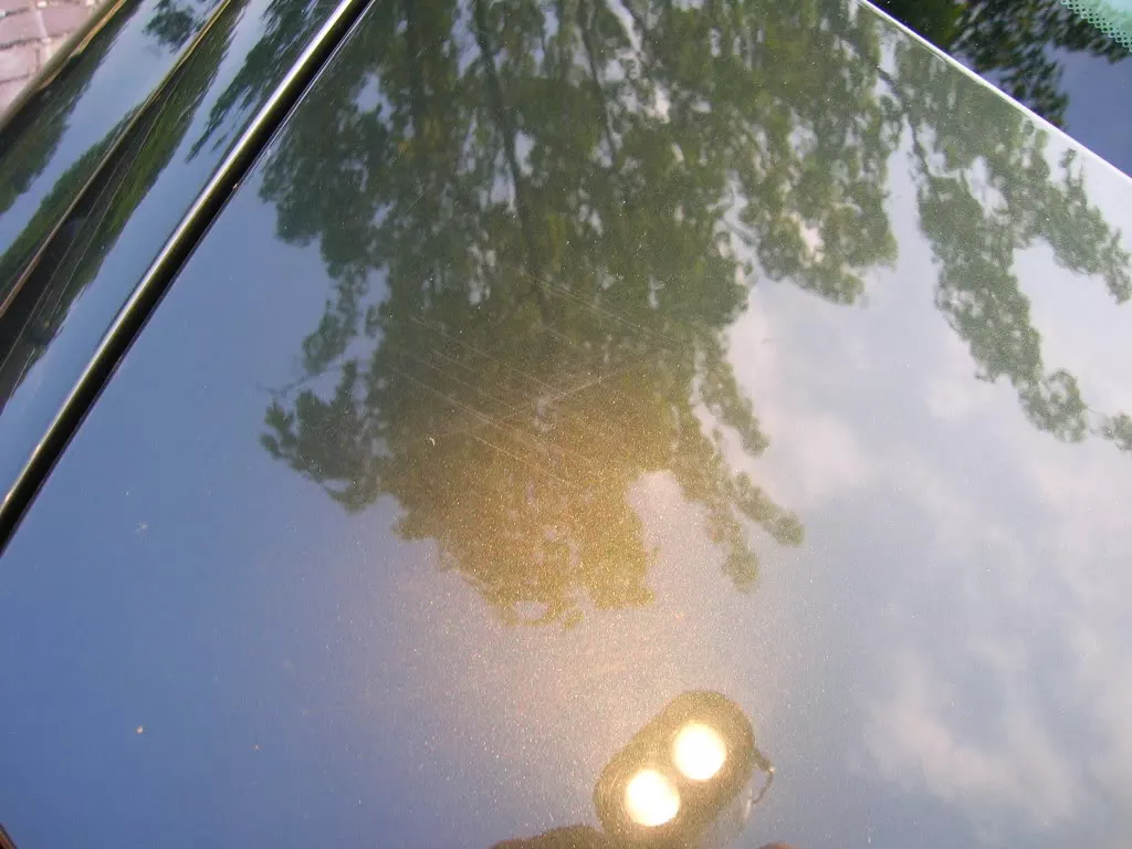 DSCN3803.webp