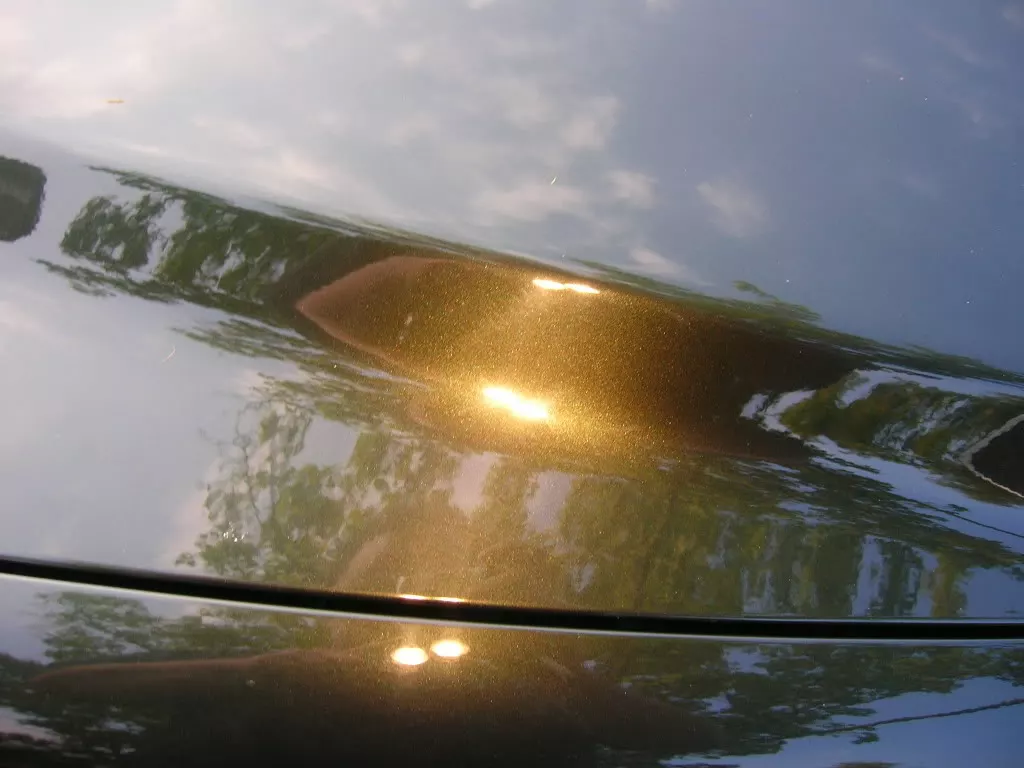 DSCN3806.webp
