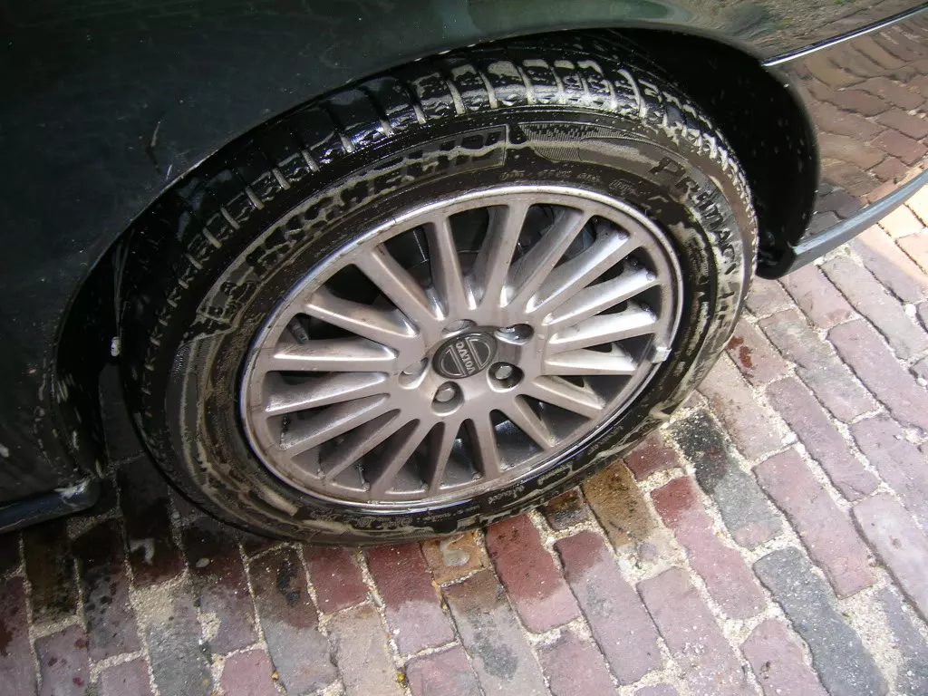 DSCN3808.webp