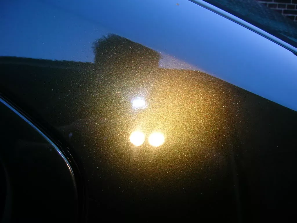 DSCN3815.webp