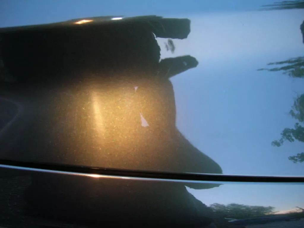 DSCN3819.webp