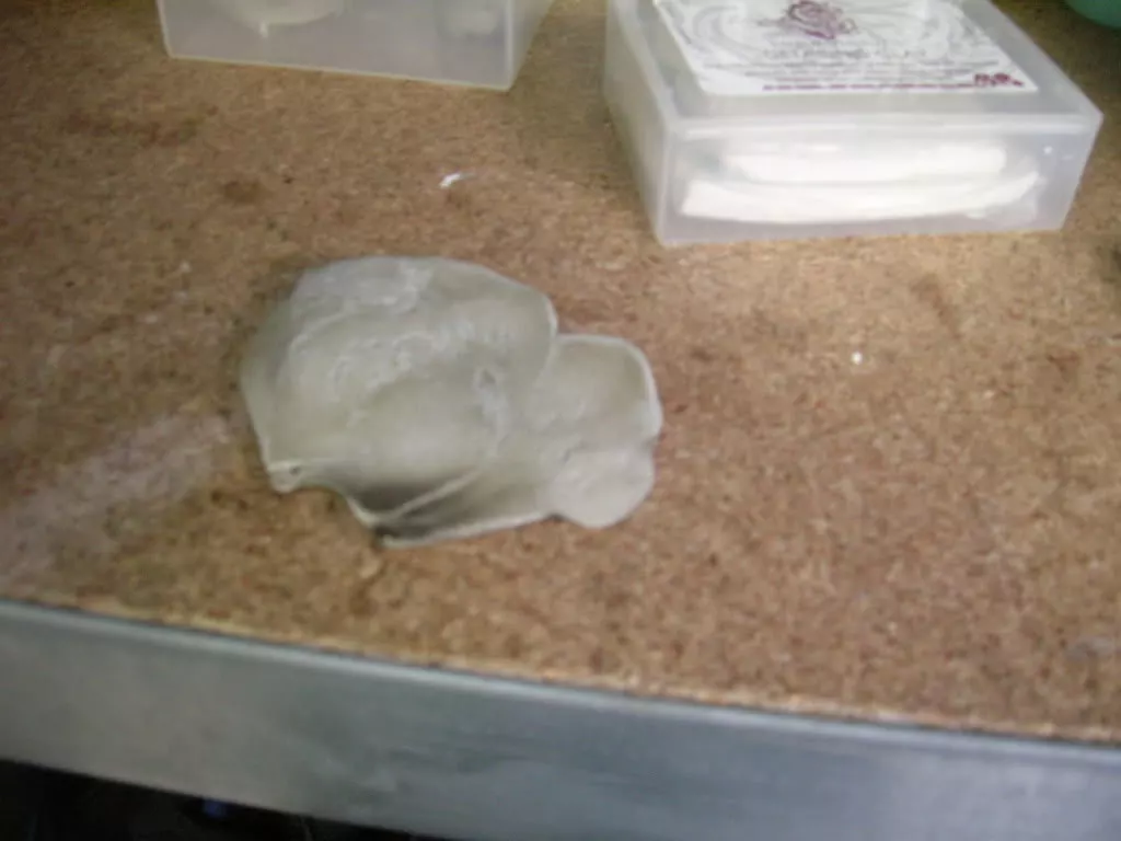 DSCN3830.webp