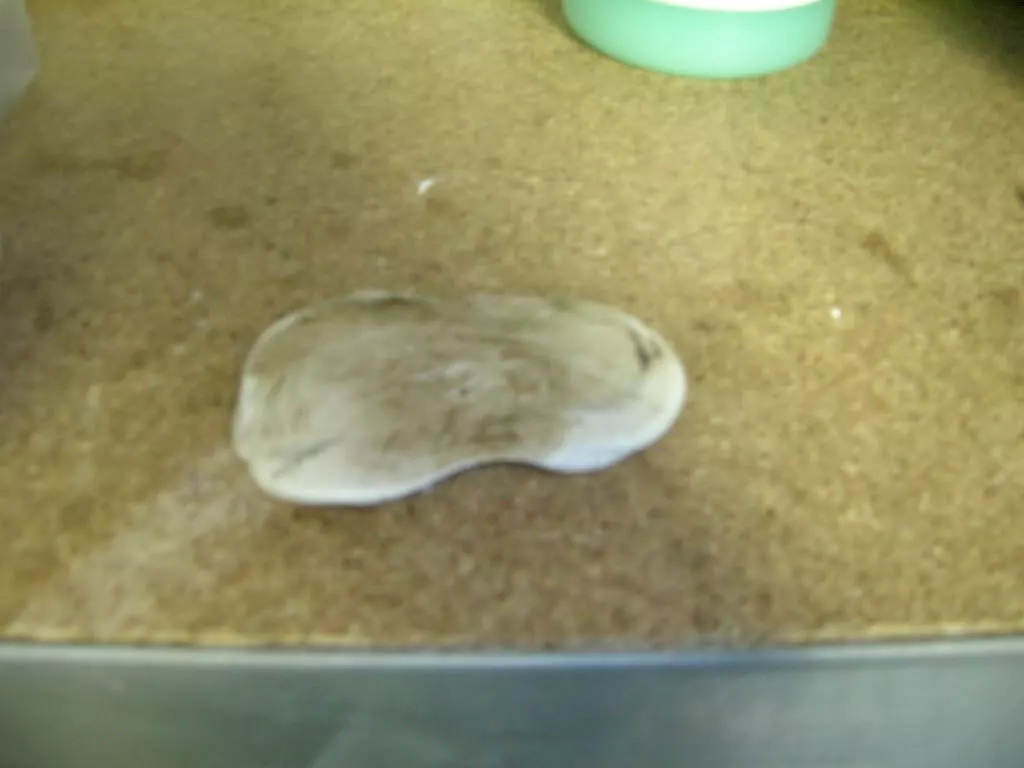 DSCN3831.webp