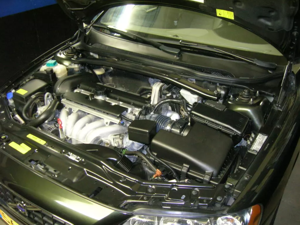 DSCN3885.webp
