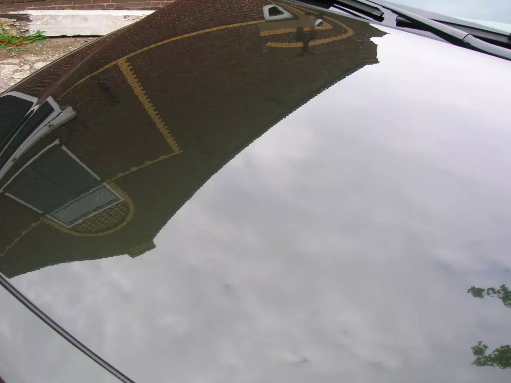 DSCN3924.webp
