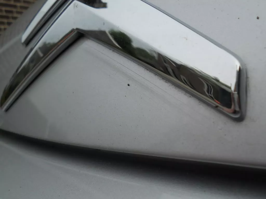 DSCN4528.webp
