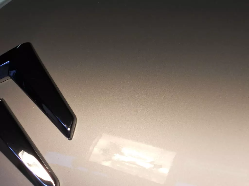 DSCN4562.webp