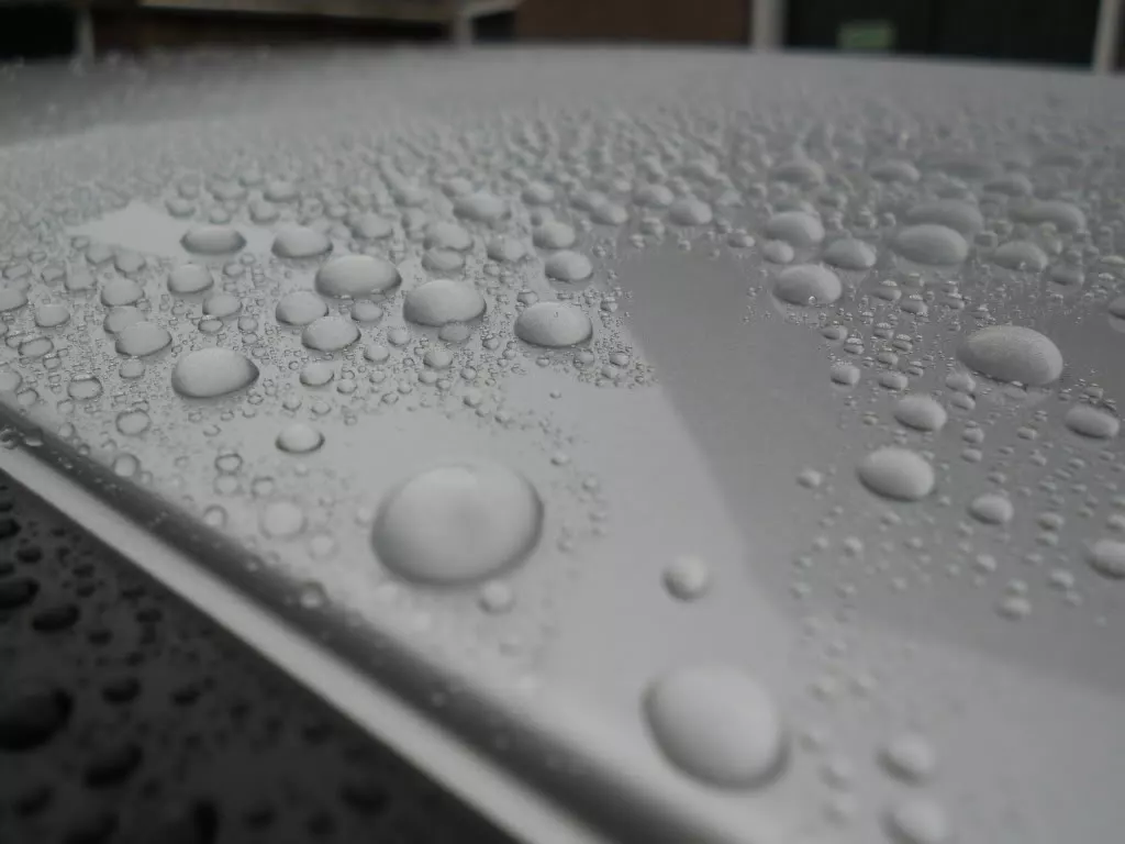 DSCN4584.webp
