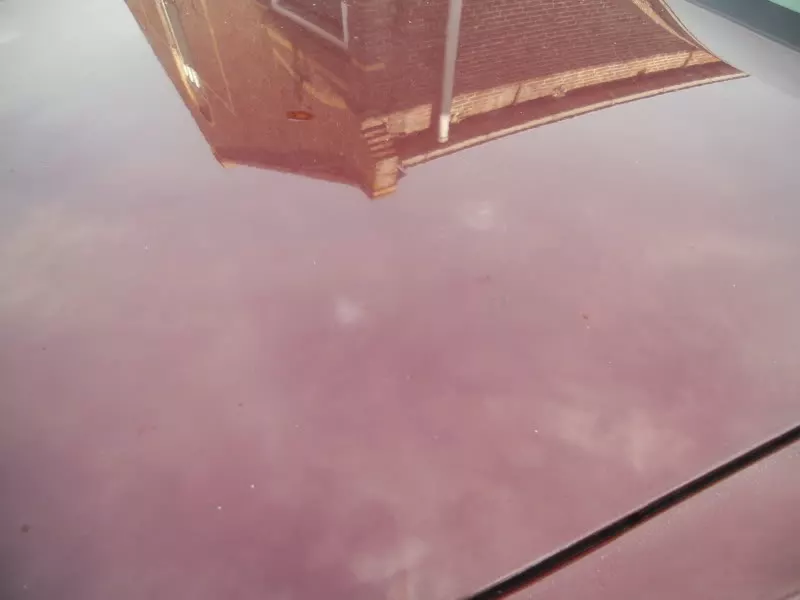 DSCN5926.webp