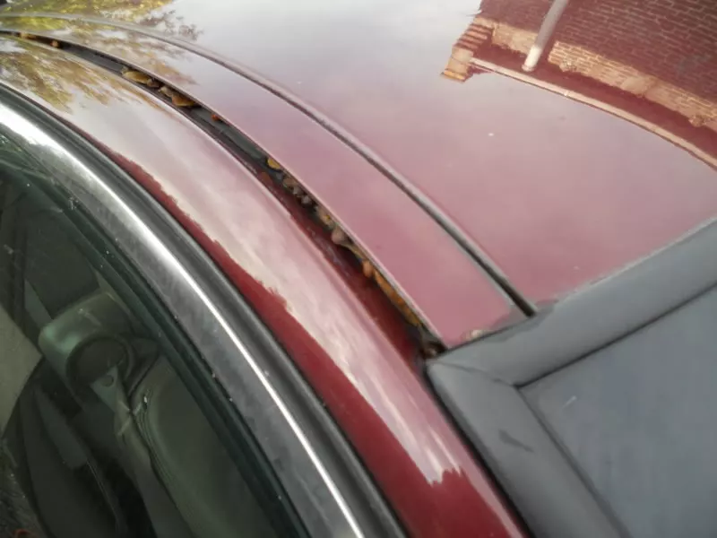 DSCN5928.webp