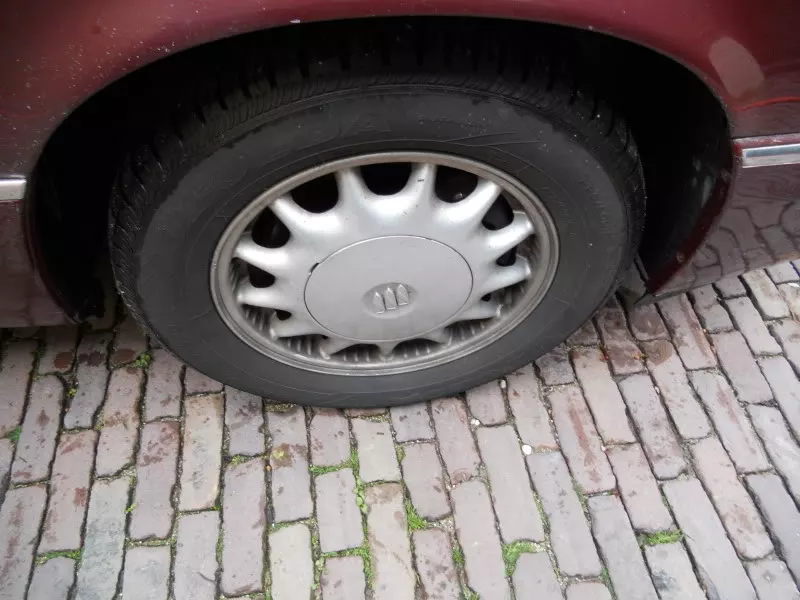 DSCN5929.webp