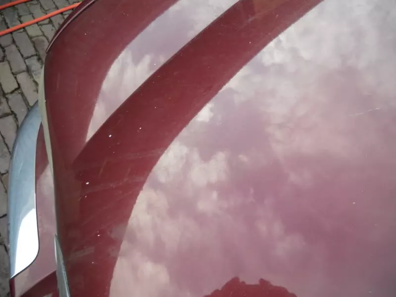 DSCN5931.webp