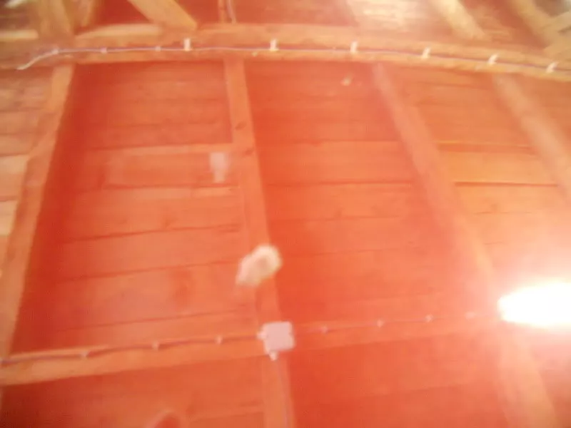 DSCN5938.webp