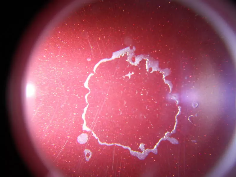 DSCN5945.webp