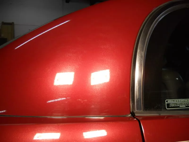 DSCN5951.webp