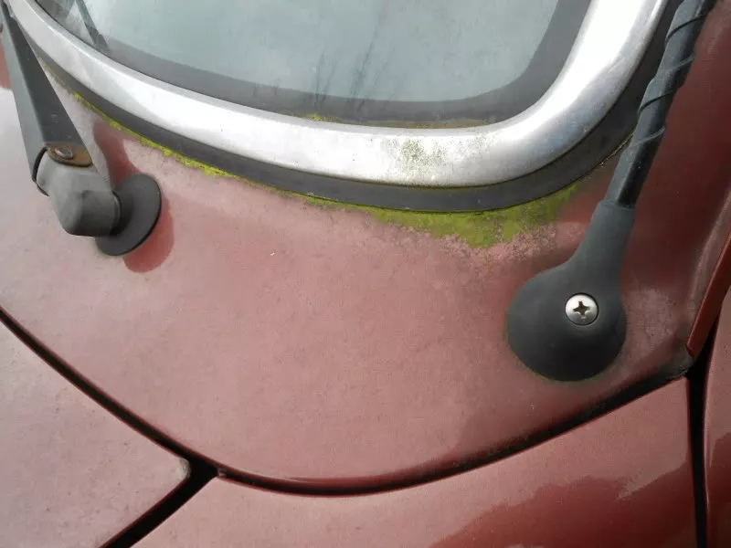 DSCN7646.webp