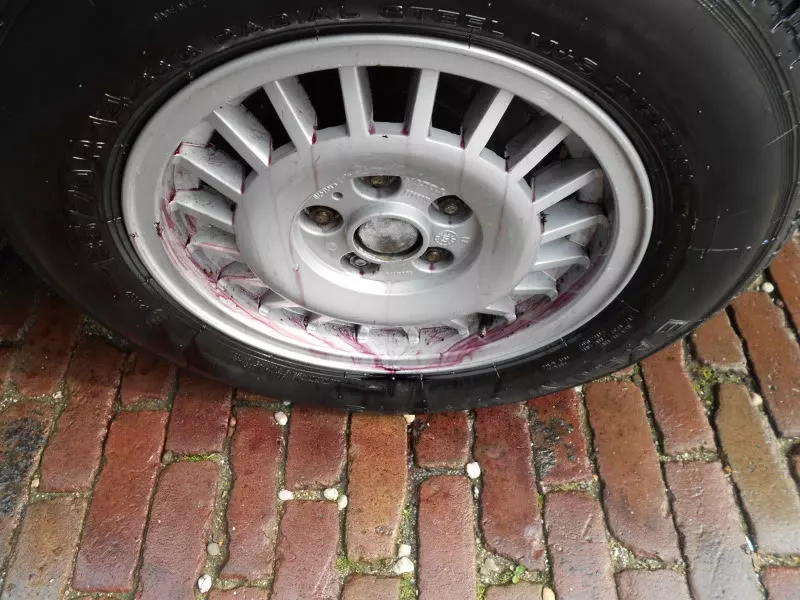 DSCN7668.webp