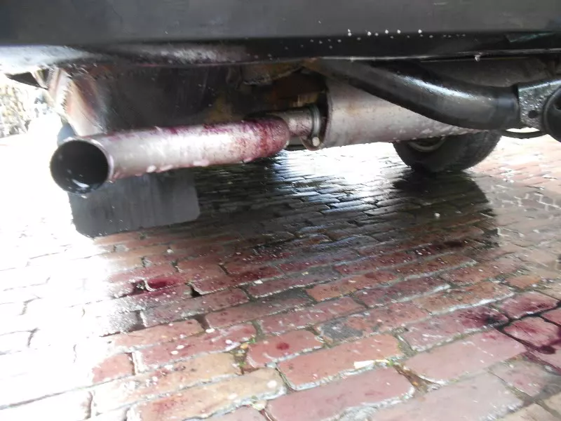DSCN7676.webp
