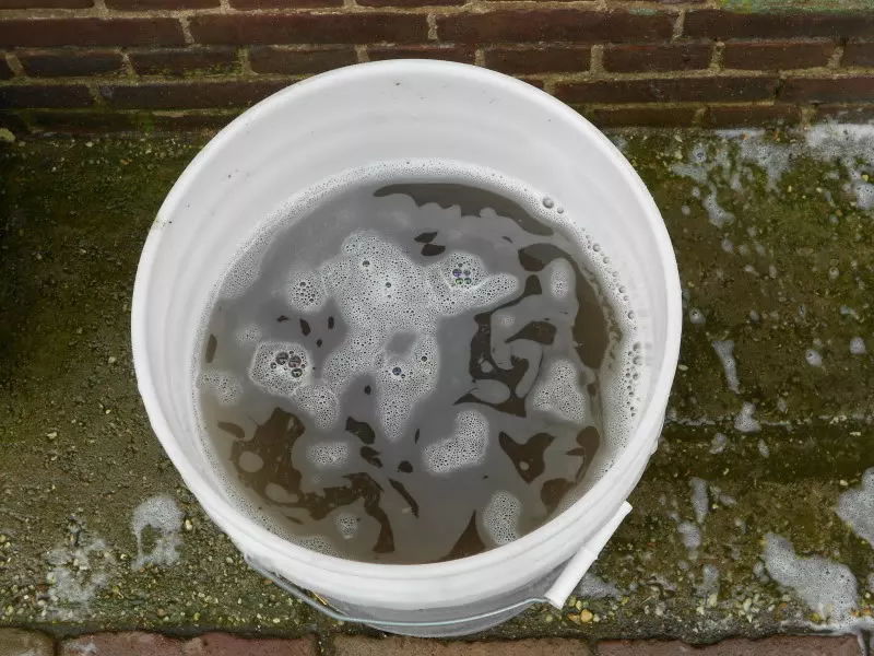 DSCN7678.webp