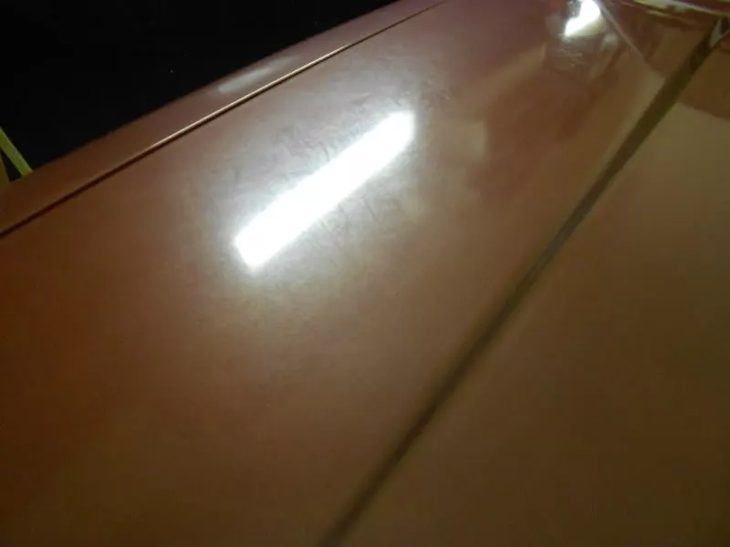 DSCN7679.webp