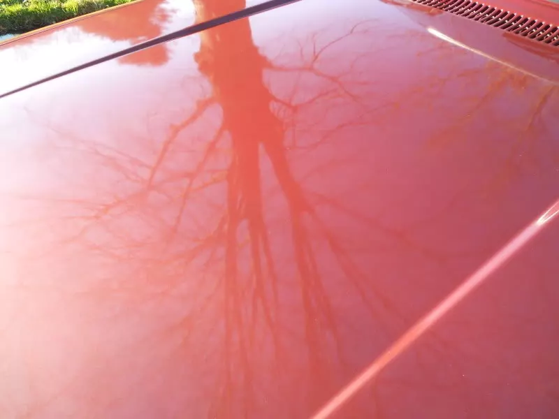 DSCN7834.webp