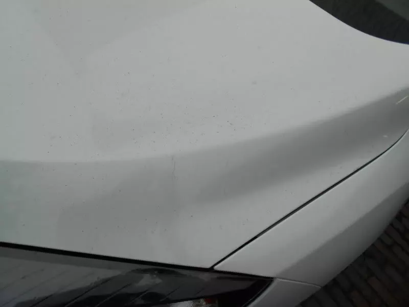 DSCN9938.webp