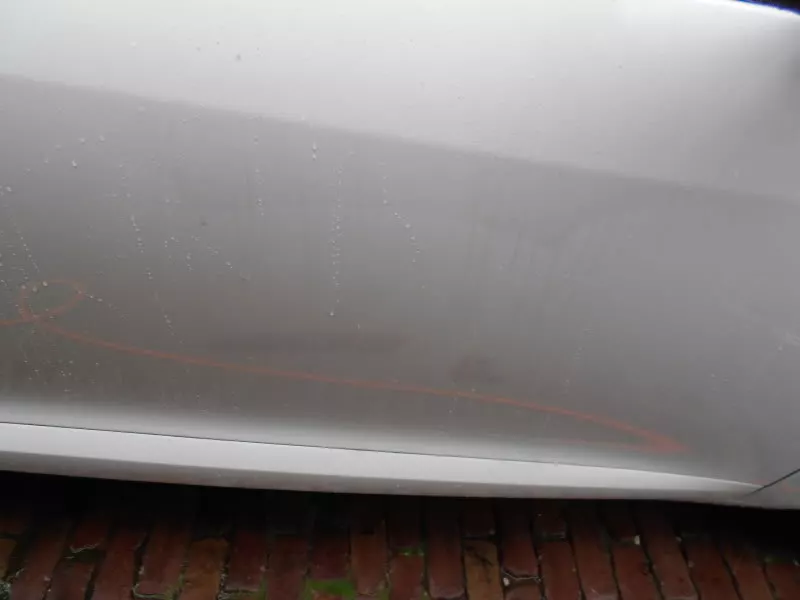 DSCN9941.webp