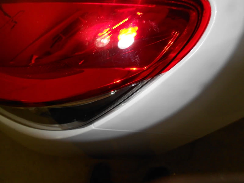 DSCN9961.webp