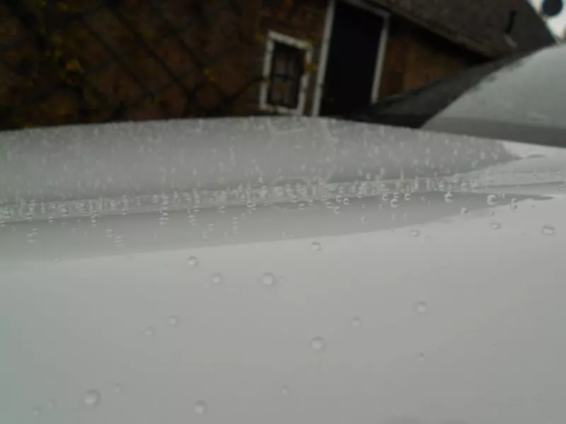 DSCN9984.webp