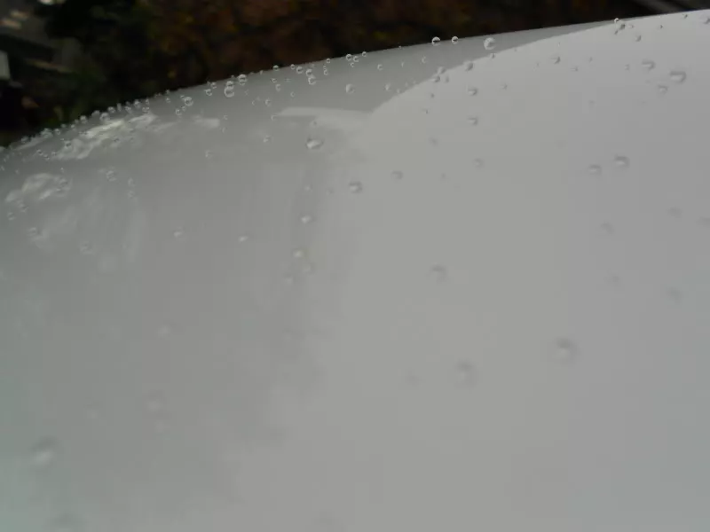DSCN9985.webp