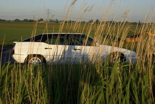 Foto-KFSABG8K.webp