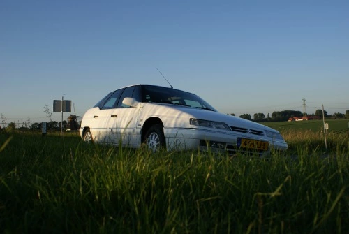 Foto-XCX7TOO3.webp