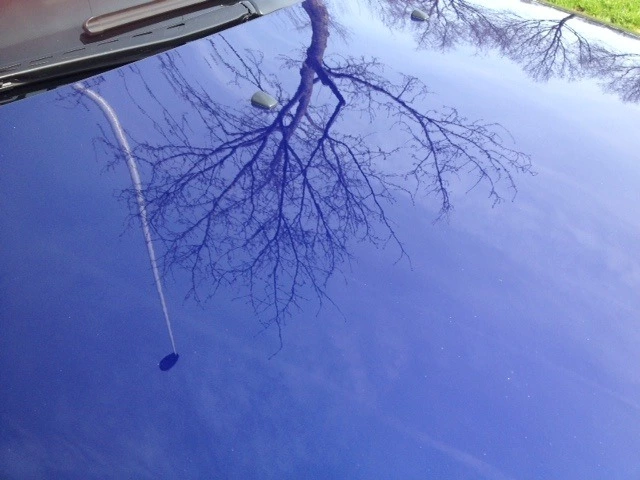 Foto1k0-ZMJAQOQT.webp