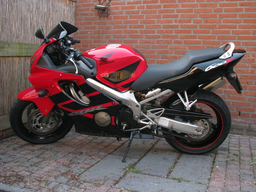 fotosjoey2241.webp