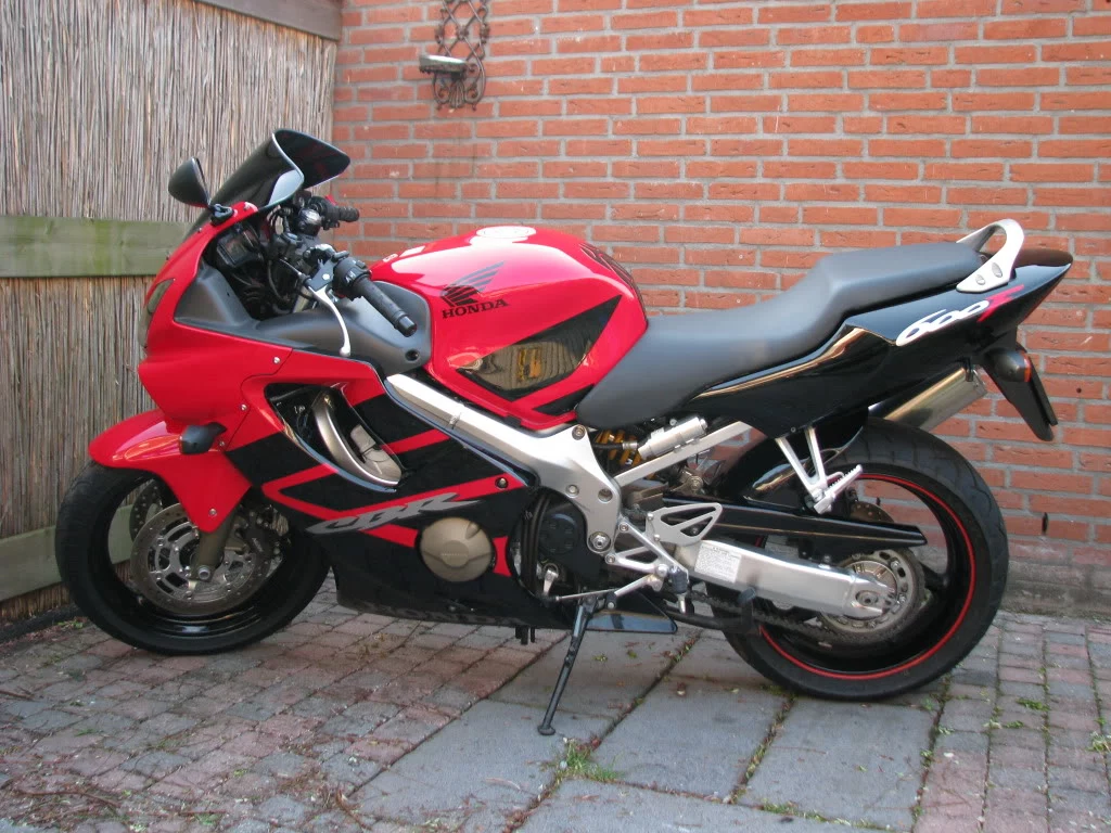 fotosjoey2242.webp