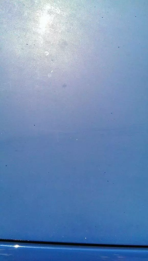 IMAG0029.webp