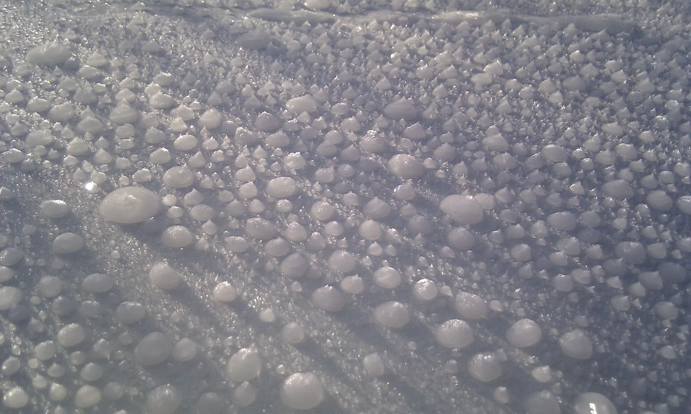 imag0126w.webp