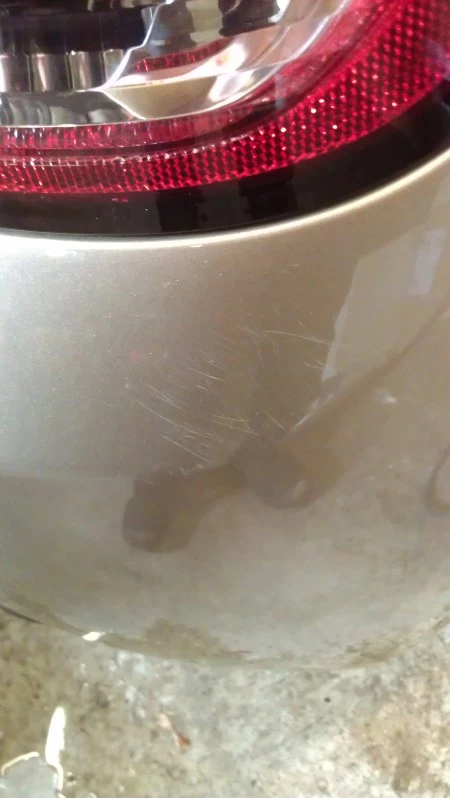 IMAG0635.webp