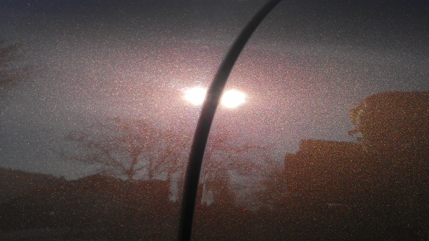 imag0797z.webp