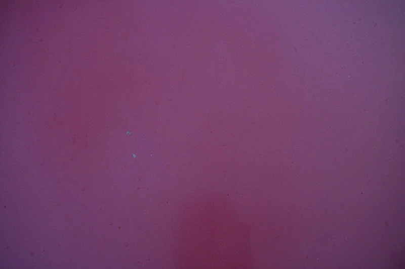 Image202.webp