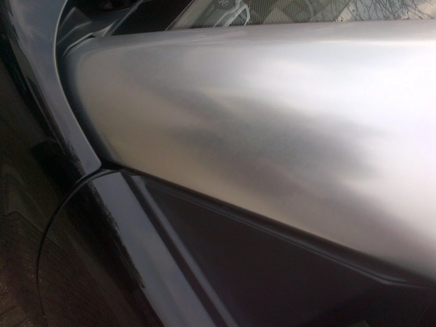 IMG-20160226-01227.webp