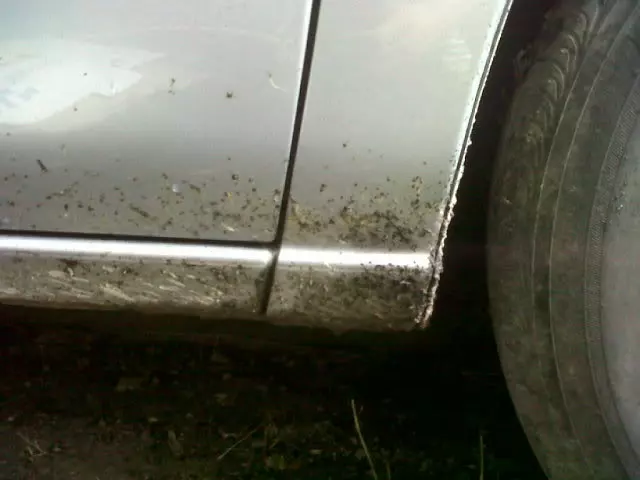 IMG00554-20110715-1927.webp