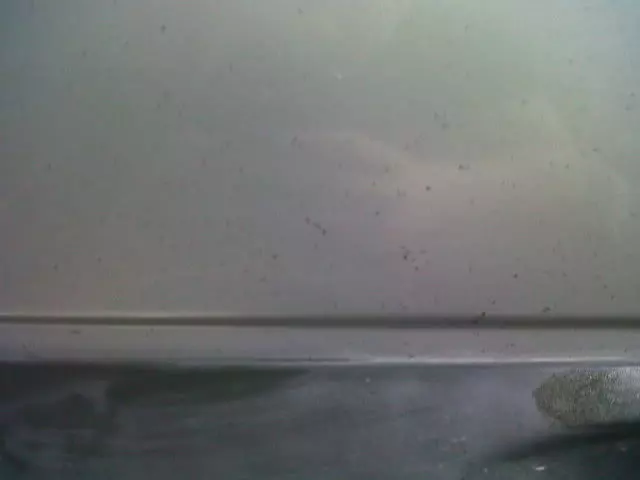 IMG00556-20110715-1928.webp