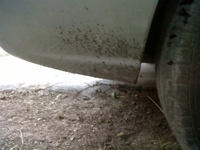 IMG00557-20110715-1928.webp