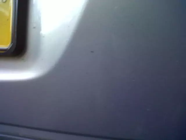 IMG00560-20110715-1946.webp