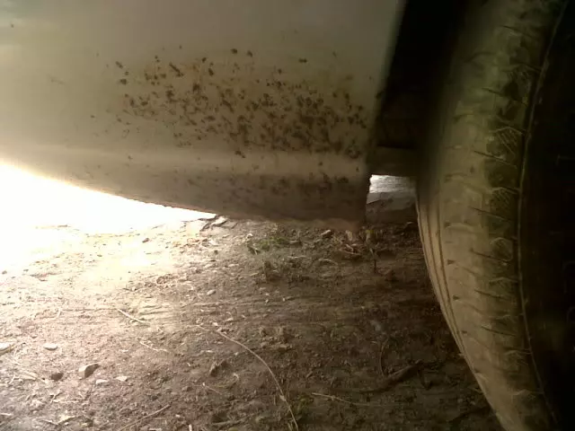 IMG00571-20110721-1407.webp