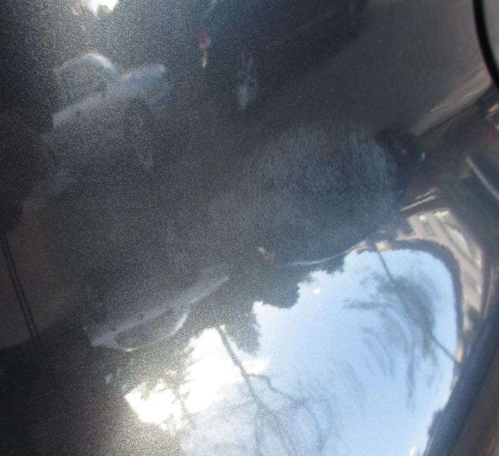 img1102as.webp