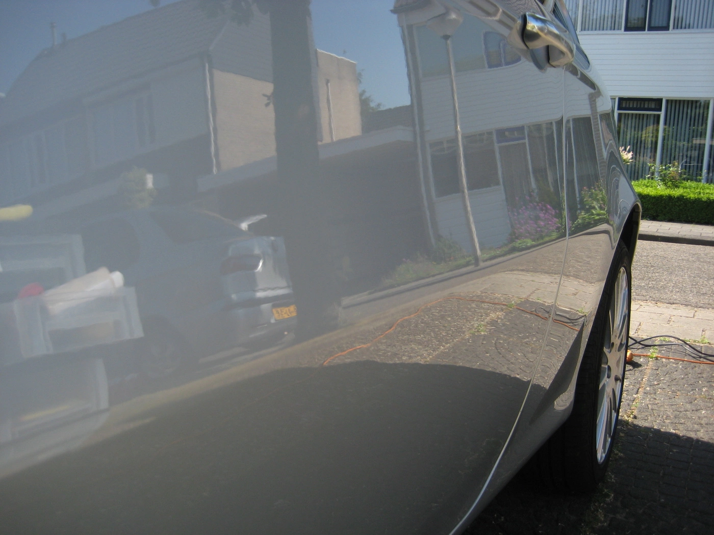img3100f.webp
