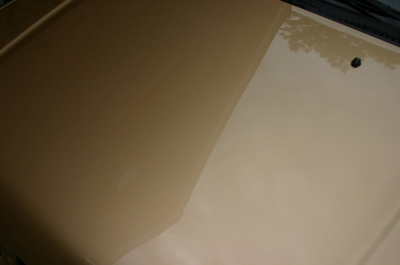 img9072qa2.webp