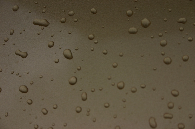 img9077dp6.webp